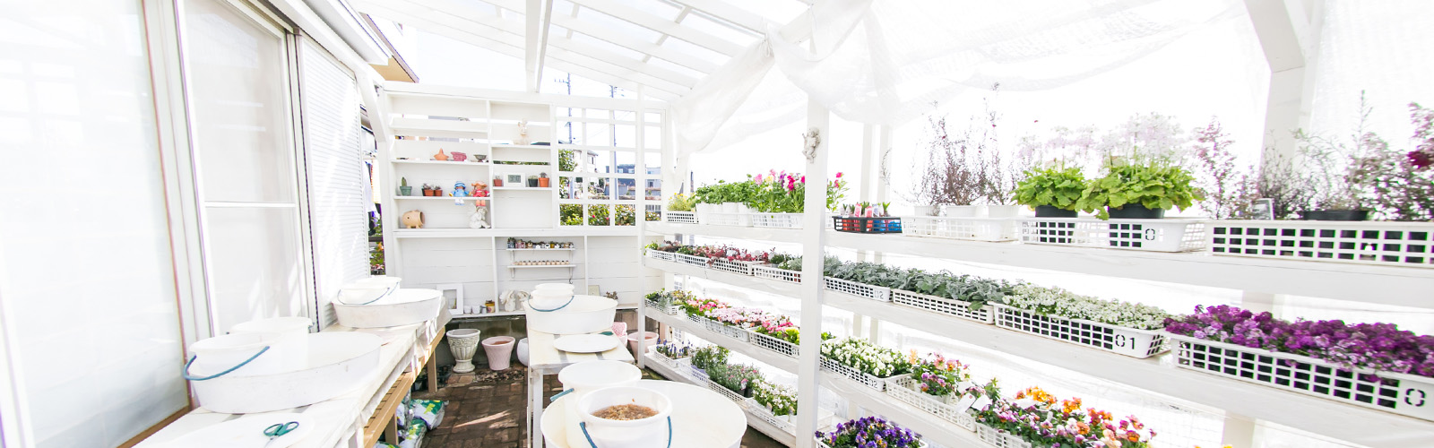 寄せ植え工房　はみんぐバスケット　エントランス