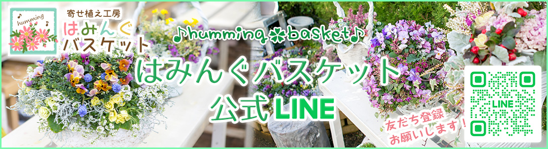 はみんぐバスケット公式LINEです♪
