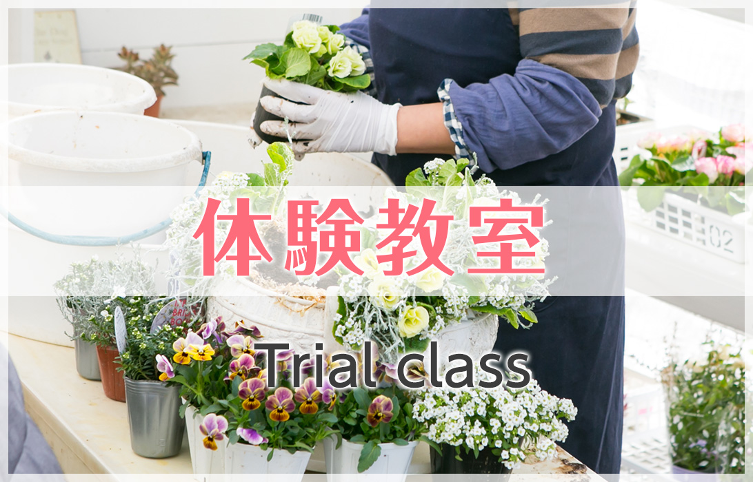 体験教室
