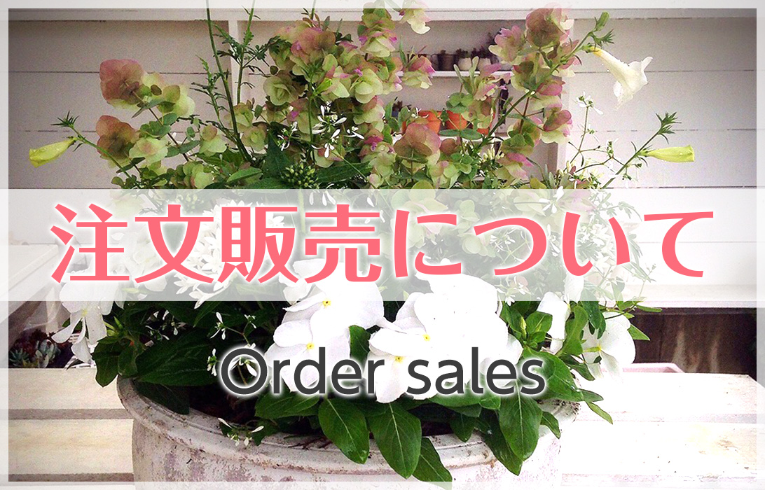 注文販売について