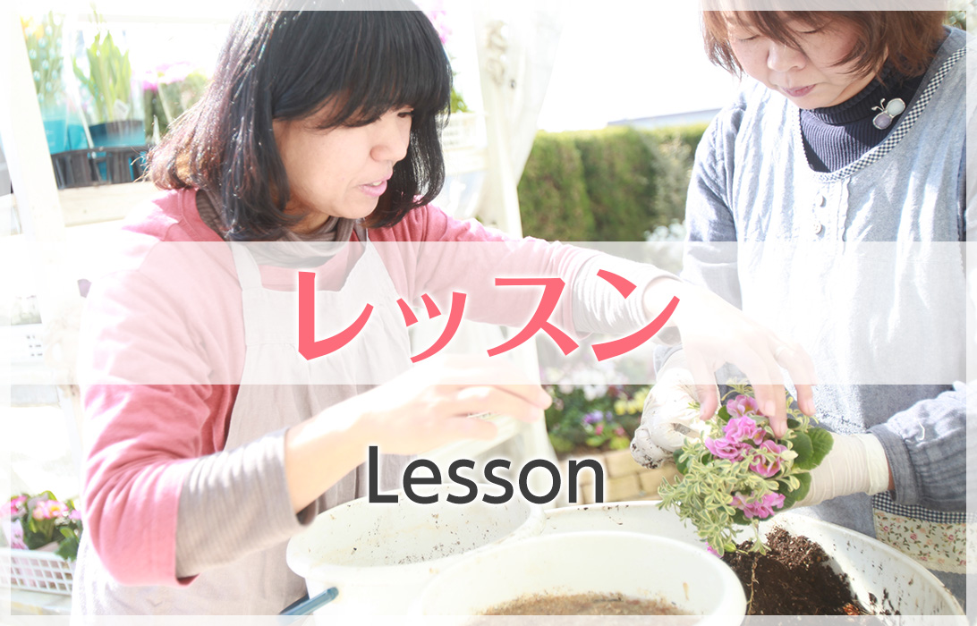 レッスン