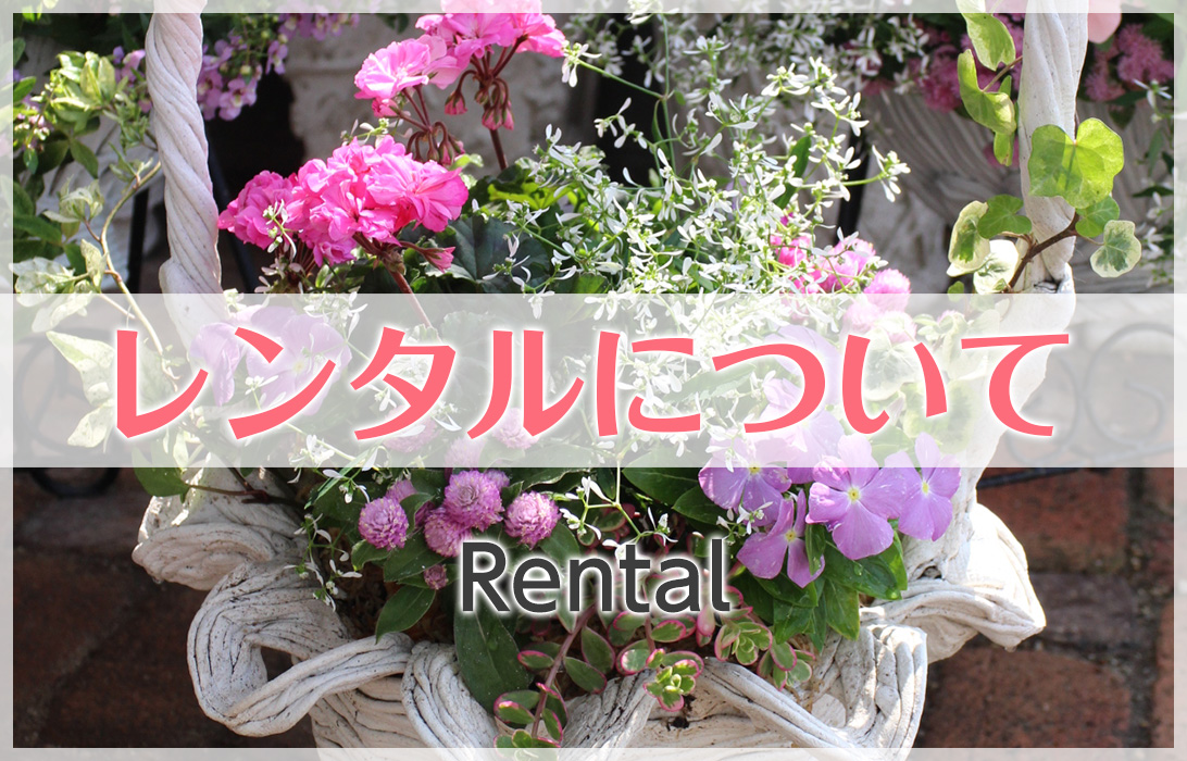 レンタルについて